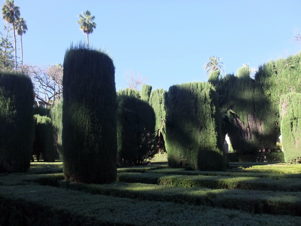 Miaomiao at the Labyrinth at the Gardens of the Alcázar of Seville