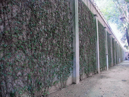 Southern wall of the Gardens of the Alcázar of Seville