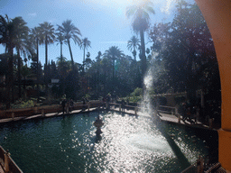 The Estanque de Mercurio pond at the Gardens of the Alcázar of Seville