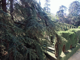 The Labyrinth at the Gardens of the Alcázar of Seville, viewed from the Galeria del Grutesco gallery