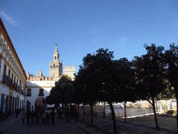 The Patio de Banderas courtyard, with a view on the Seville Cathedral with the Giralda tower