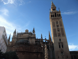 The south side of the Seville Cathedral with the Giralda tower