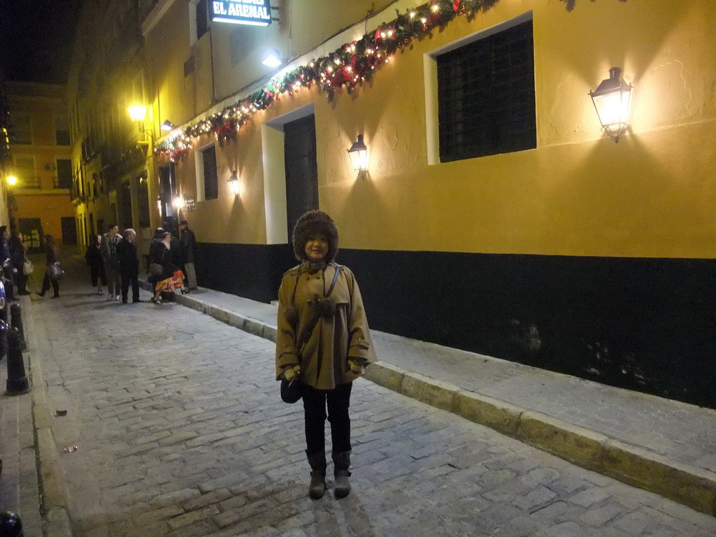 Miaomiao in front of the Restaurante Tablao Flamenco El Arenal, by night