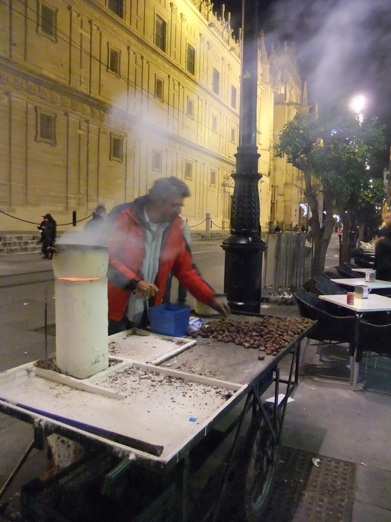 Chestnut salesman in the Avenida de la Constitución avenue at the west side of the Seville Cathedral, by night