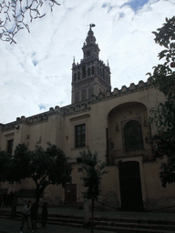 The north side of the Seville Cathedral with the Giralda tower