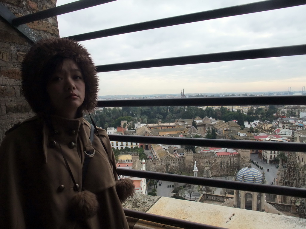 Miaomiao at the top of the Giralda tower, with a view on the Alcázar of Seville and the Monument of the Immaculate Conception at the Plaza del Triunfo square