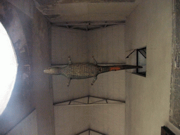Wooden crocodile hanging at the ceiling in front of the Puerta del Lagarto gate at the Seville Cathedral