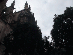 The east side of the Seville Cathedral and orange trees at the Patio de los Naranjos courtyard