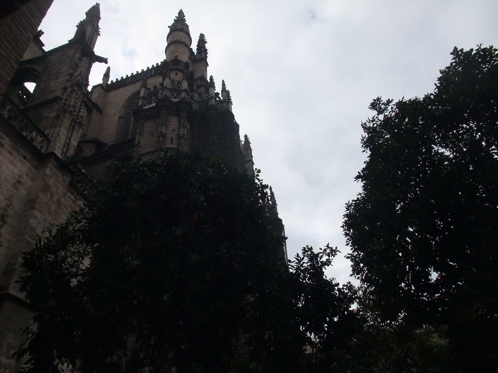 The east side of the Seville Cathedral and orange trees at the Patio de los Naranjos courtyard