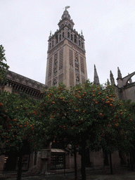 The Giralda tower and orange trees at the Patio de los Naranjos courtyard