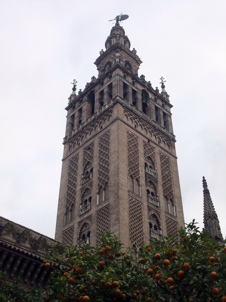 The Giralda tower and orange trees at the Patio de los Naranjos courtyard