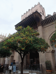 The Puerta del Perdón gate and orange trees at the Patio de los Naranjos courtyard
