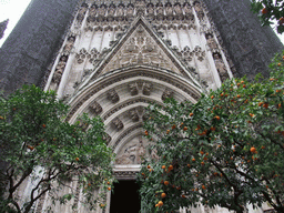 The Puerta de la Concepción gate of the Seville Cathedral and orange trees at the Patio de los Naranjos courtyard