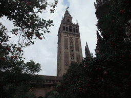 The Giralda tower and orange trees at the Patio de los Naranjos courtyard