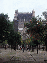 The east side of the Seville Cathedral with the Puerta de la Concepción gate and orange trees at the Patio de los Naranjos courtyard