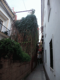 The Calle del Aire street
