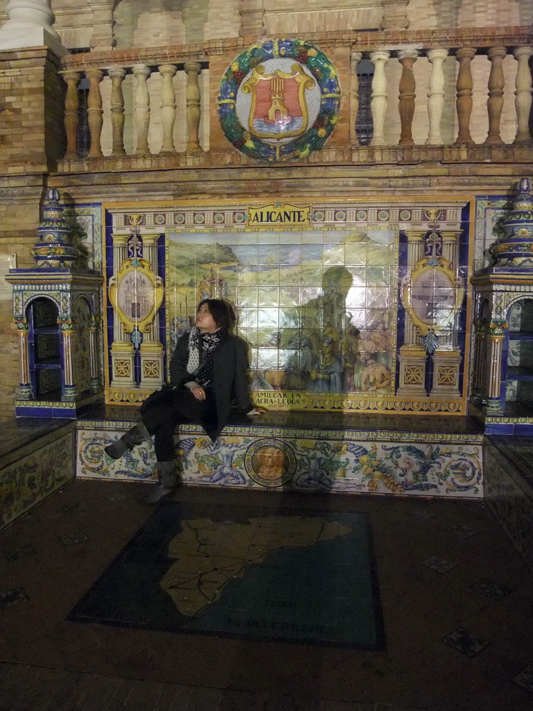 Miaomiao at the Province Alcove of Alicante at the Plaza de España building, by night