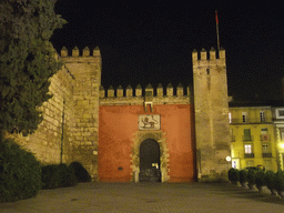 The Lion`s Gate of the Alcázar of Seville, by night