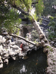 Miaomiao at rocks and pavilion in the Yuyuan Garden in the Old Town