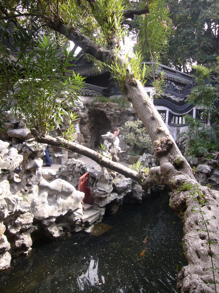 Miaomiao at rocks and pavilion in the Yuyuan Garden in the Old Town