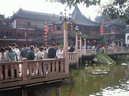 Miaomiao on the Zig Zag Bridge Of Nine Turnings, leading to the Huxington Tea House in the Yuyuan Garden in the Old Town