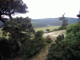 Miaomiao at grassland in Potatso National Park