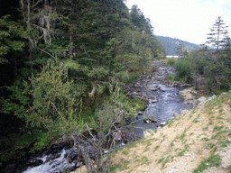 Stream near Bita Lake in Potatso National Park