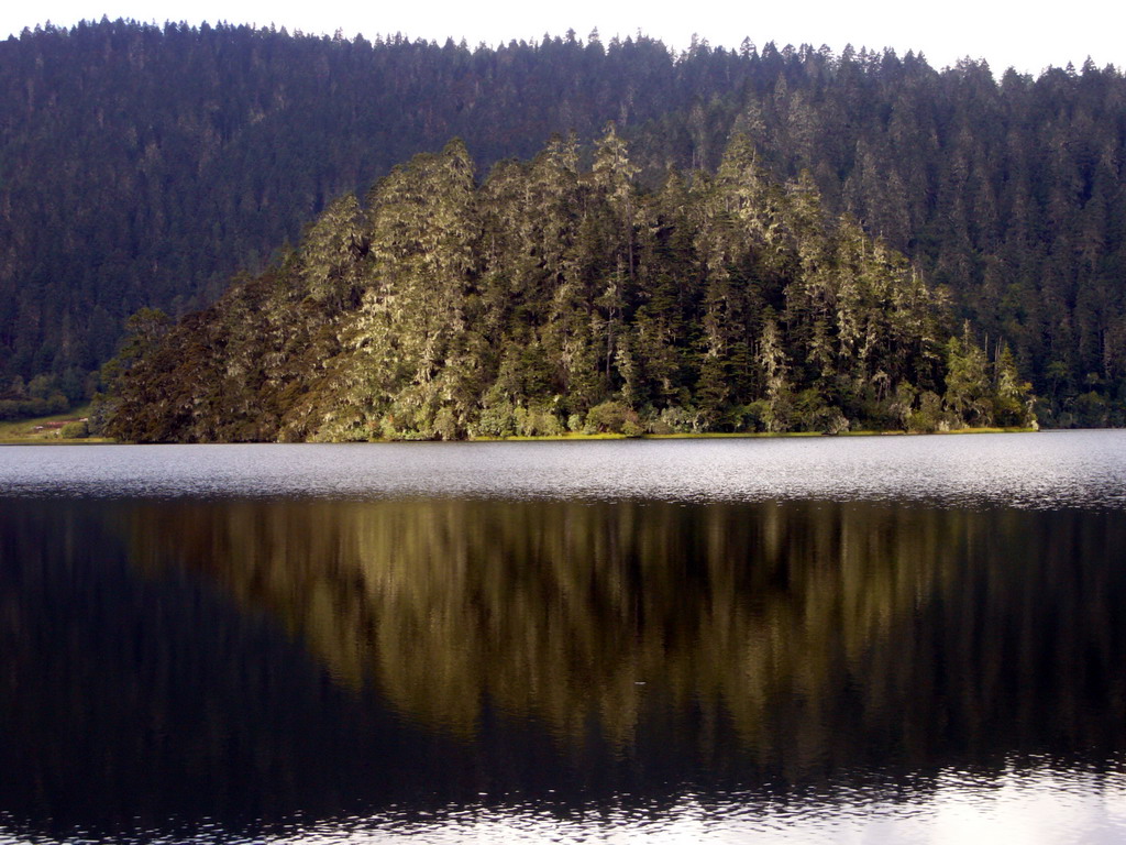 Island in Bita Lake in Potatso National Park