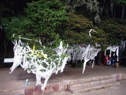 Prayer flags at waterside of Bita Lake in Potatso National Park