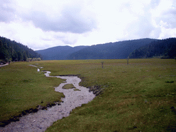 Grassland ans stream in Potatso National Park