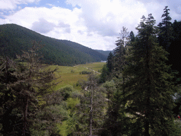 View from parking place on grassland and forest in Potatso National Park