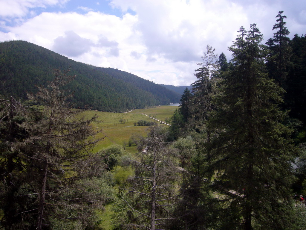 View from parking place on grassland and forest in Potatso National Park