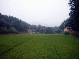 Field in front of the former residence of Mao Zedong
