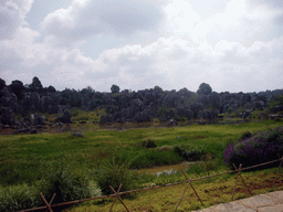 Karst formations in the Minor Stone Forest of Shilin National Park