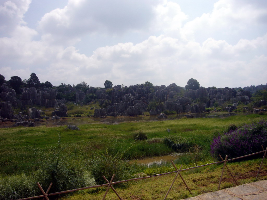 Karst formations in the Minor Stone Forest of Shilin National Park