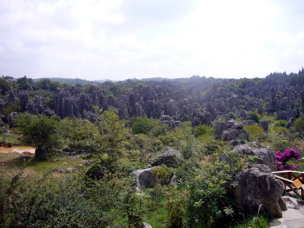 Karst formations in the Minor Stone Forest of Shilin National Park