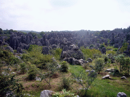 Karst formations in the Minor Stone Forest of Shilin National Park