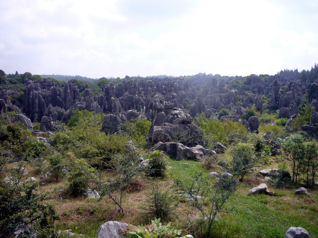 Karst formations in the Minor Stone Forest of Shilin National Park