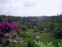 Karst formations in the Minor Stone Forest of Shilin National Park