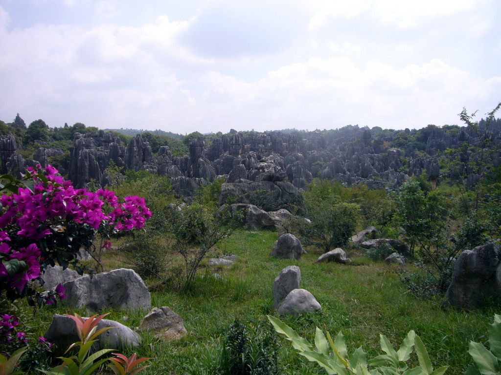 Karst formations in the Minor Stone Forest of Shilin National Park