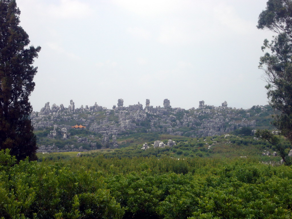 Eternal Mushroom Scenic Area at Shilin National Park