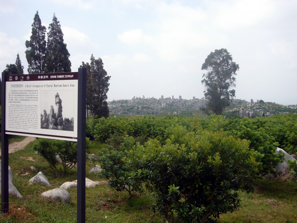 Eternal Mushroom Scenic Area at Shilin National Park, with explanation