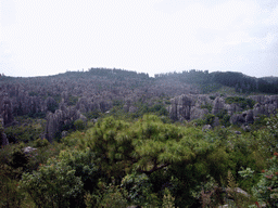 Karst formations in the Minor Stone Forest of Shilin National Park