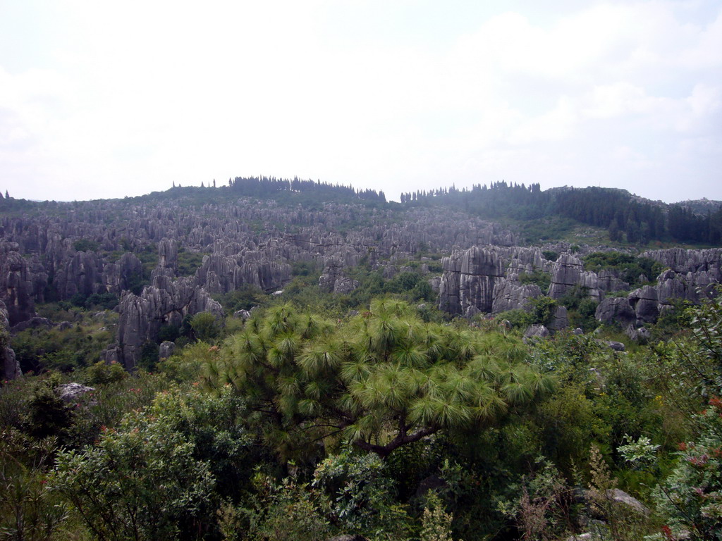 Karst formations in the Minor Stone Forest of Shilin National Park