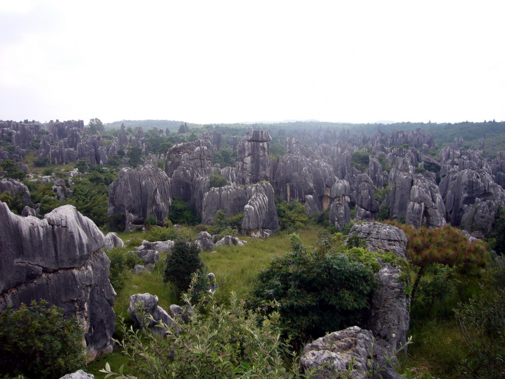 Karst formations in the Minor Stone Forest of Shilin National Park