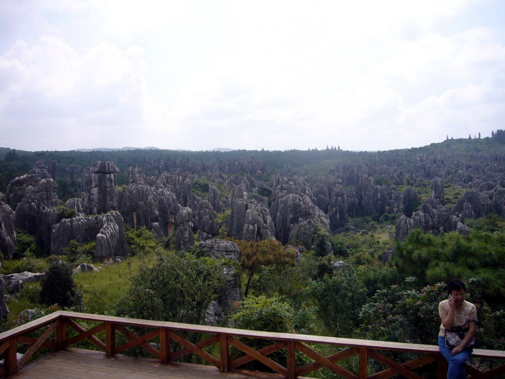 Miaomiao`s mother at karst formations in the Minor Stone Forest of Shilin National Park