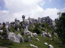 Karst formations in the Minor Stone Forest of Shilin National Park