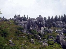 Karst formation in the shape of an elephant in the Minor Stone Forest of Shilin National Park