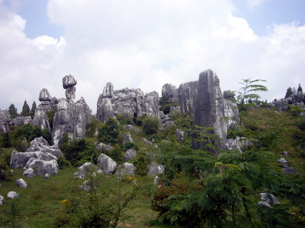 Karst formations in the Minor Stone Forest of Shilin National Park