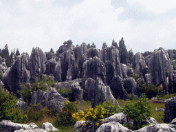 Karst formations in the Minor Stone Forest of Shilin National Park